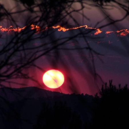 Mesoncillo Neo Villa Hornos Bagian luar foto