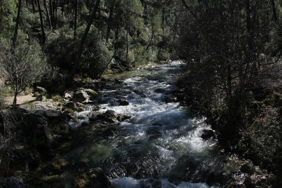 Mesoncillo Neo Villa Hornos Bagian luar foto