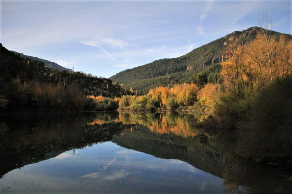 Mesoncillo Neo Villa Hornos Bagian luar foto