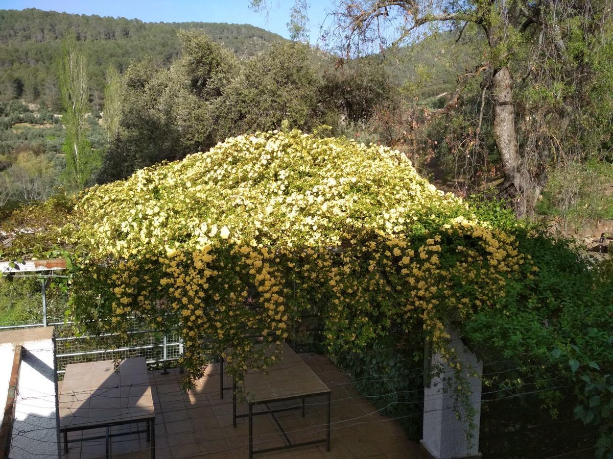 Mesoncillo Neo Villa Hornos Bagian luar foto